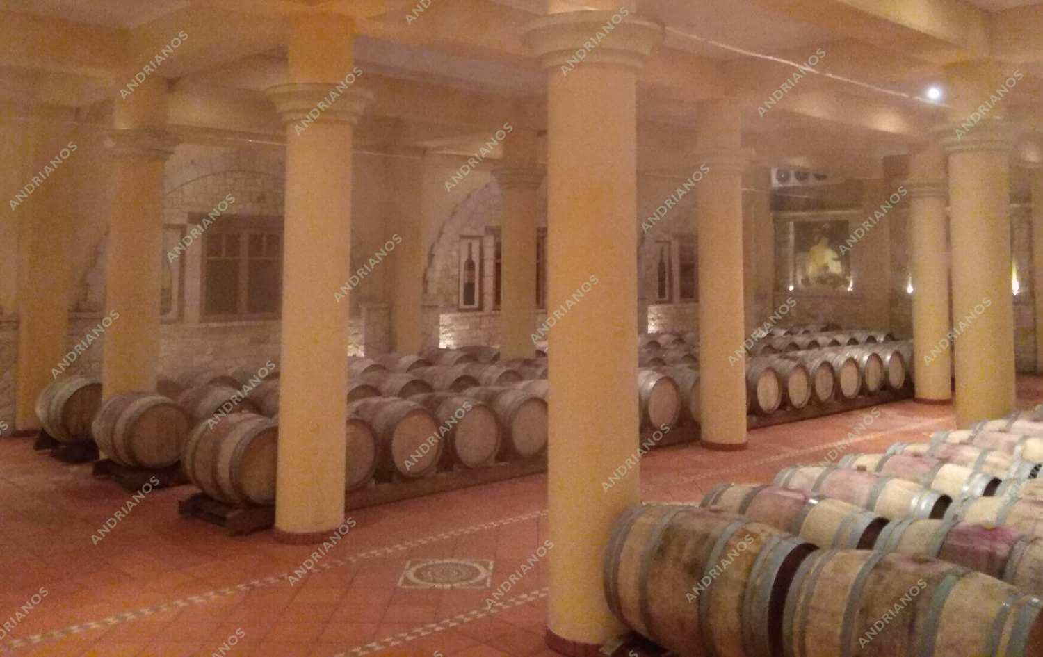 susthma ugranshs kelariwn 5