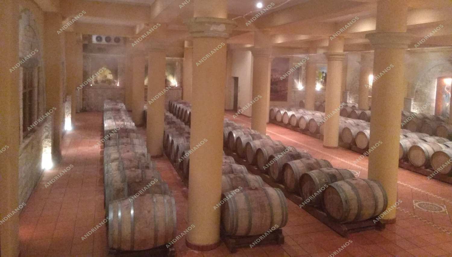 susthma ugranshs kelariwn 6