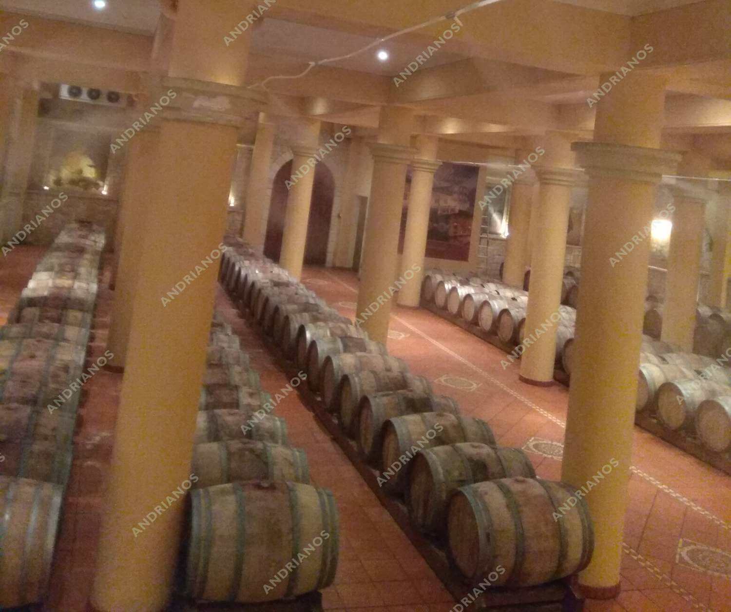 susthma ugranshs kelariwn 7